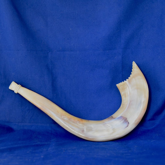 Israeli Shofar Horn