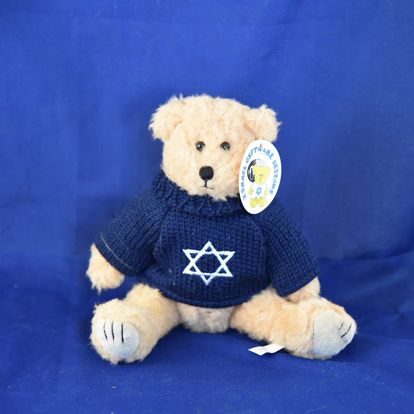 Teddy Bear in Star of David Sweater